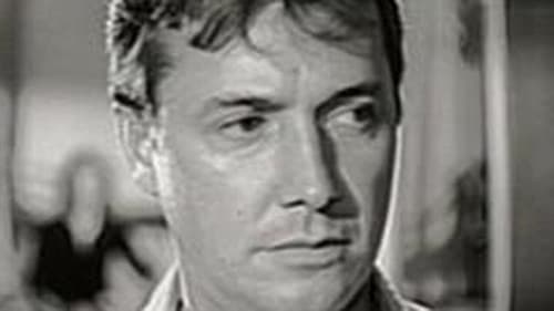 O Bordel: Noites Proibidas Bild 1