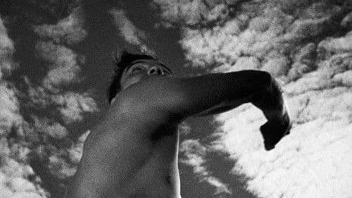 Olympia - Fest der Schönheit Bild 2