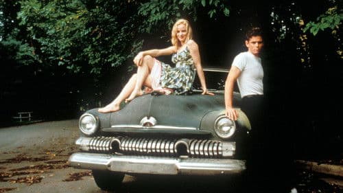 Zauber eines Sommers Bild 3