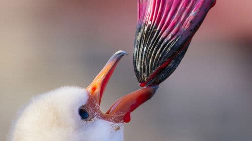 Ein perfekter Planet Bild 4