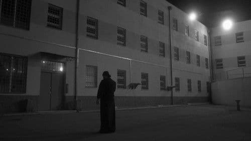 მე მზის წვეთი ვარ დედამიწაზე Bild 2