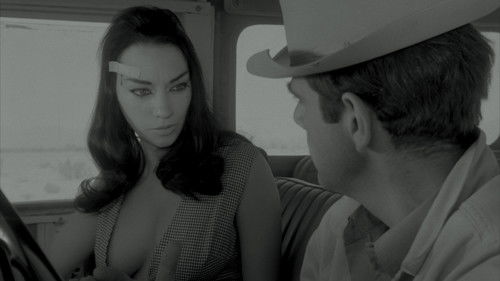 Motorpsycho - Wie wilde Hengste Bild 4