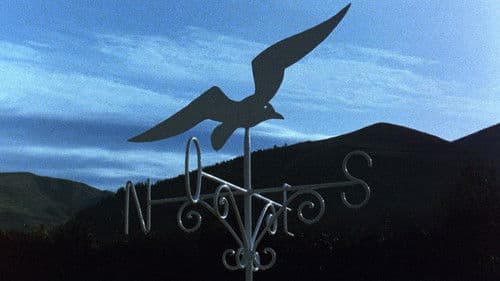 El Sur- Der Süden Bild 1