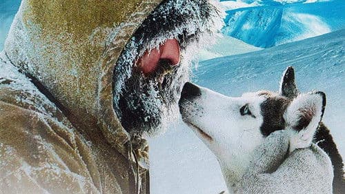 Der letzte Trapper Bild 2