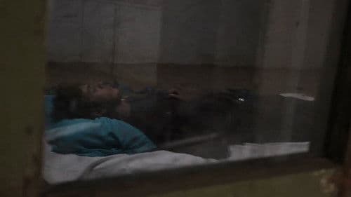 از انعکاس هر ستاره‌ای Bild 2