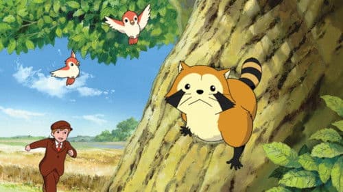 Rascal, der Waschbär Bild 2