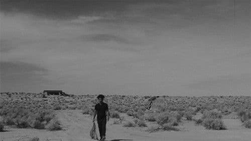 Moodswing Whiskey Bild 1