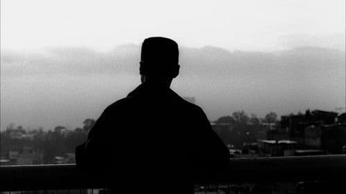 Liebessehnsucht Bild 3