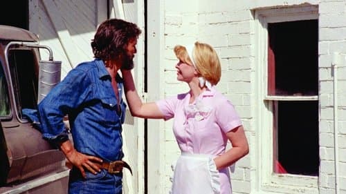 Alice lebt hier nicht mehr Bild 1