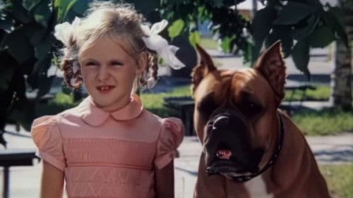 Необыкновенные приключения Карика и Вали Bild 2