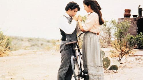 Bittersüße Schokolade Bild 6