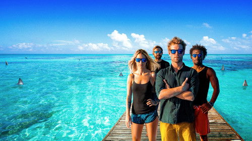 Shark Academy Bild 1