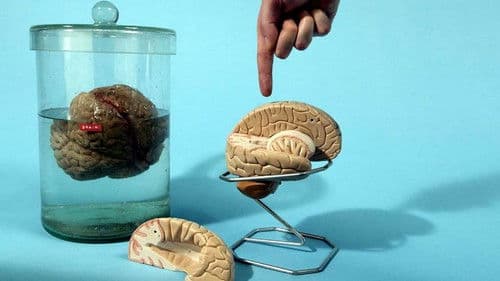 Look Around You Bild 1