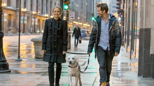 Wer kriegt den Hund? Bild 2