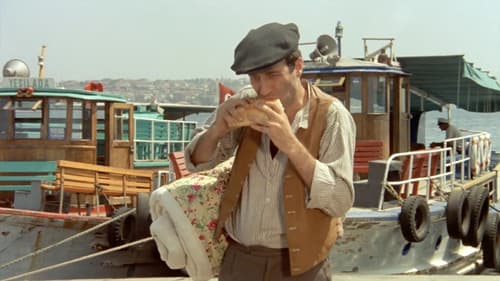 Şark Bülbülü Bild 1