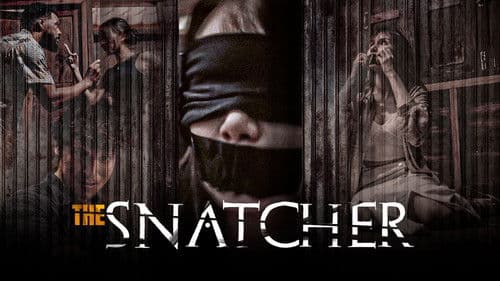 The Snatcher Bild 1