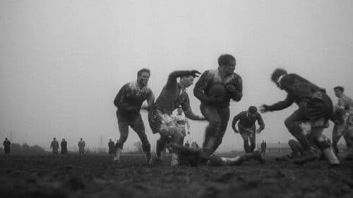 Lockender Lorbeer Bild 5