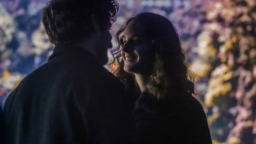 Verkehrte Welt Bild 2