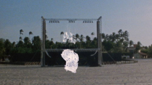 Transetropical Bild 3