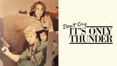 Don't Cry, It's Only Thunder Bild 2