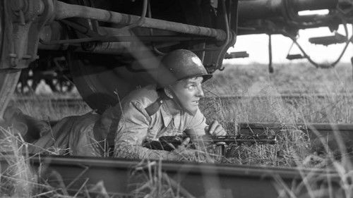 Krzyż Walecznych Bild 2