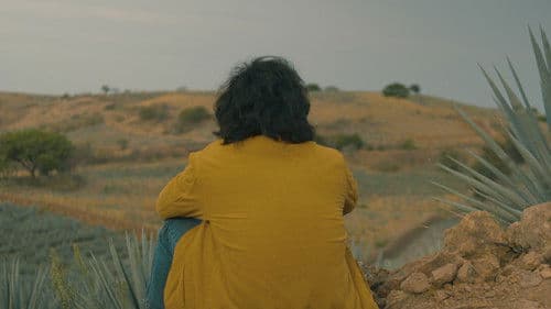 Agaves al alba Bild 2