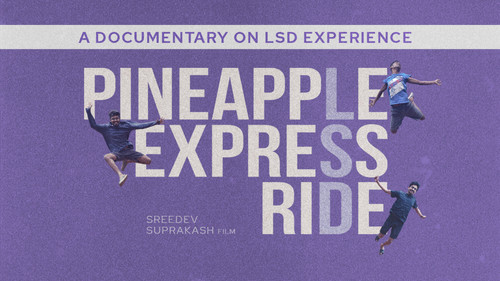 Pineapple Express Ride Bild 1