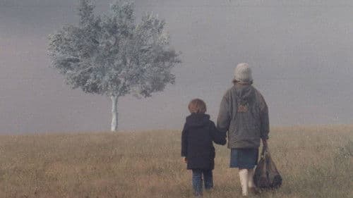 Landschaft im Nebel Bild 5