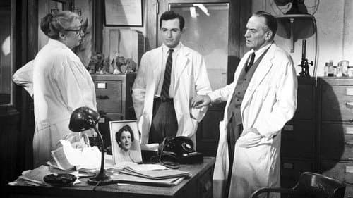 The Young Doctors Bild 1