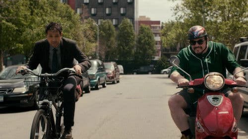 Lost Cat Corona Bild 1