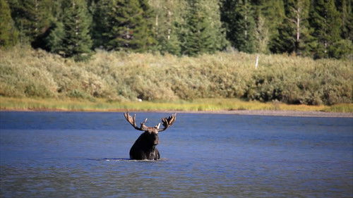 Wild Wild East Bild 2