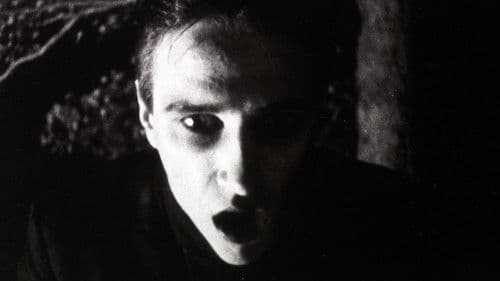 Strasek, der Vampir Bild 1