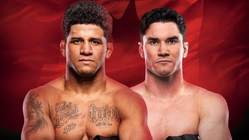 UFC Fight Night 273: Burns vs. Malott Bild 1