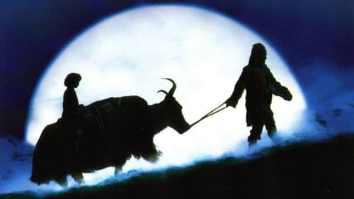 Himalaya - Die Kindheit eines Karawanenführers Bild 2