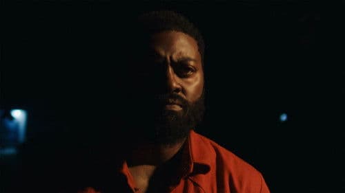 The Fire and the Moth Bild 5