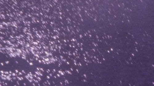 それはとにかくまぶしい Bild 1