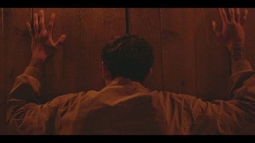 Head Like A Hive Bild 2