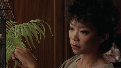 Dim Sum - Etwas fürs Herz Bild 7