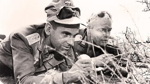 Die jungen Löwen Bild 1