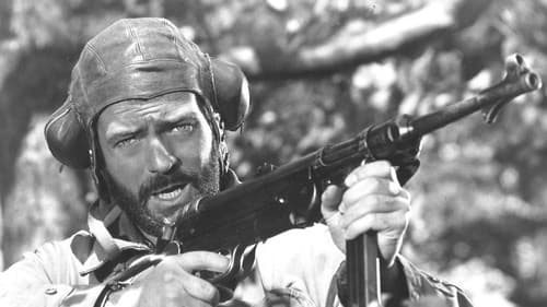 Im Netz der Abwehr Bild 1