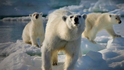 Eisige Welten Bild 3