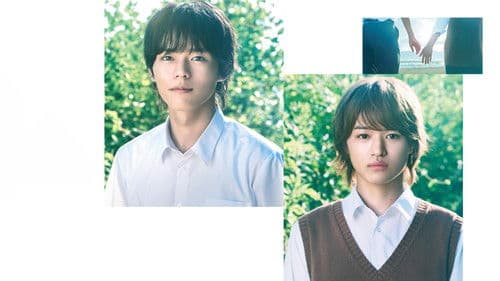 君となら恋をしてみても Bild 2