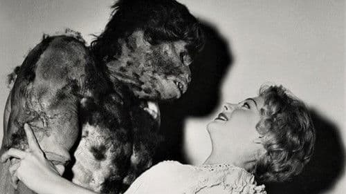 Der Schrecken schleicht durch die Nacht Bild 7