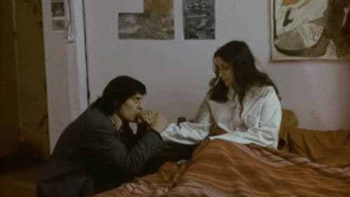 Queridos compañeros Bild 2