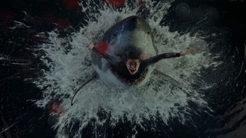 Im Wasser der Seine Bild 7