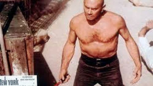 New York antwortet nicht mehr Bild 3