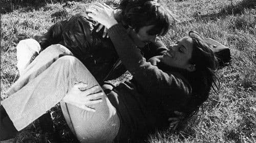 Nojo aos Cães Bild 1