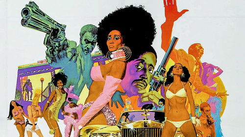 Wenn es Nacht wird in Manhattan Bild 4