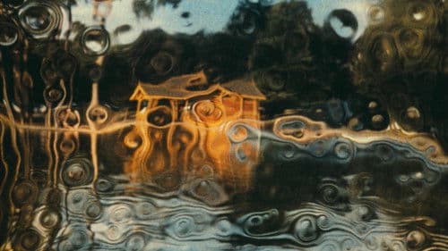 Au bord du lac Bild 1