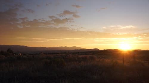 Coming to Terms Bild 1